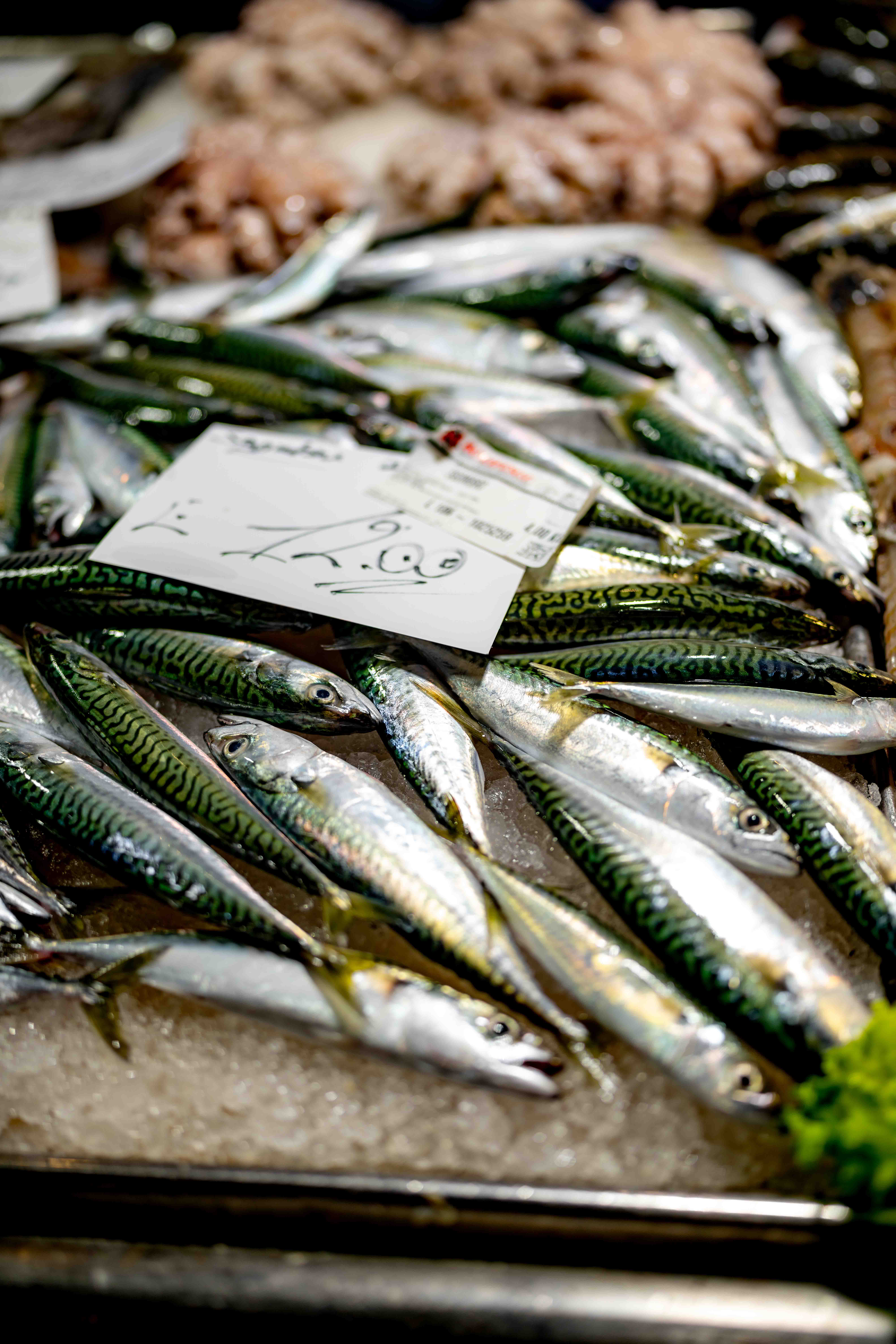 Photos from travel in Rome, Florence, Venice, Fall 2025.